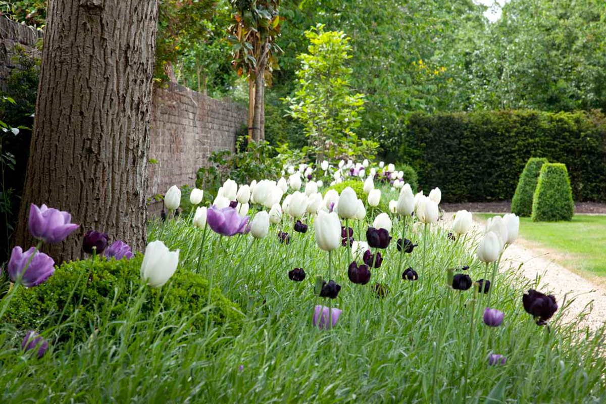 Hampton Court Garden Image