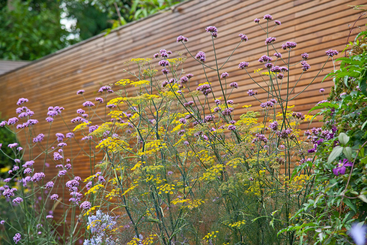 Wimbledon Villa Garden Image